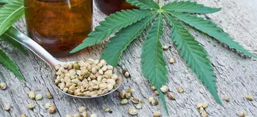CBD-, Hanf- oder Hasch-Öl? Was ist was?