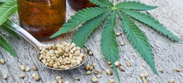 CBD-, Hanf- oder Hasch-Öl? Was ist was?