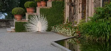 Gartenkunstwerke und unberührte Wildnis