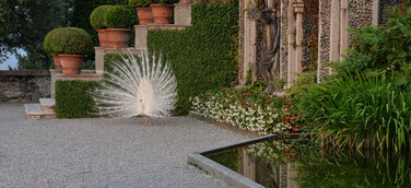 Gartenkunstwerke und unberührte Wildnis