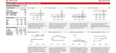 GOING CONCERN. Herausforderungen der Unternehmensfortführung unter Covid-19.