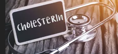 Cholesterin – wichtig für den ganzen Körper!
