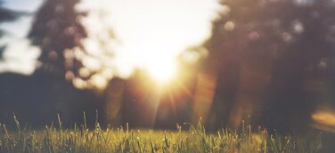 Firmen nach dritter Coronawelle deutlich zuversichtlicher