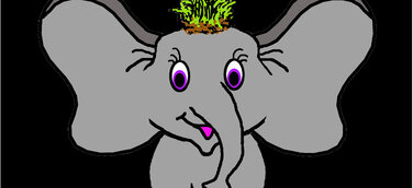 Lanea Samoa - ein kleiner Elefant - stellt die Welt auf den Kopf