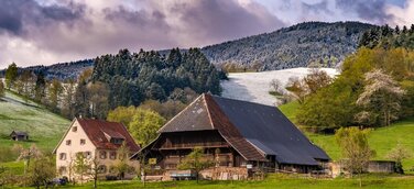 Bauwerk Talk: Typisch Schwarzwald - Regionale Baustoffe. Regionale Bauweisen