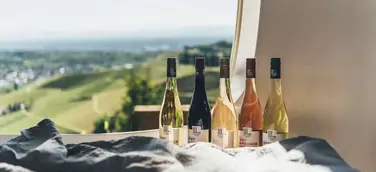 Elfhundertzwölf meets sleeperoo: Mit allen Sinnen eine Nacht in den Weinbergen genießen