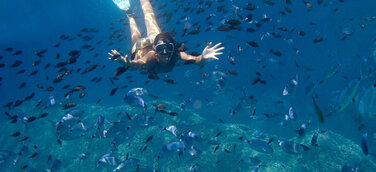 Achtsamkeit zwischen Neptungras und Seesternen