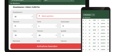 TimberData Holzaufnahme-App ist released: Erster Baustein der neuen Warenwirtschaft von DekaData