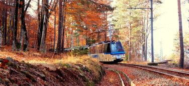 So feiert man den Herbst am Lago Maggiore