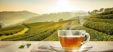 Wir feiern die Woche der 1000 Tees – feier´ mit uns