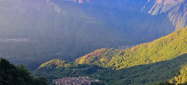 Katzen-Kunst und ein verlorener Clan