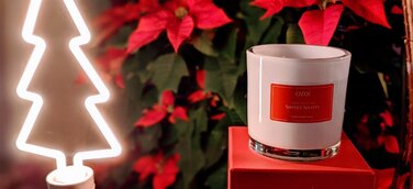 OZOÍ im Berliner Pop-up-Store „Meine Weihnachtswelt“ des TV-Floristmeisters Björn Kroner