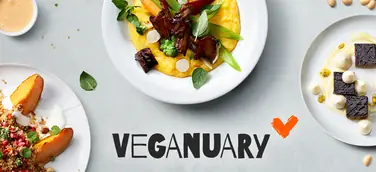 Vegan in den Januar: Unilever Food Solutions & Langnese feiert Veganuary