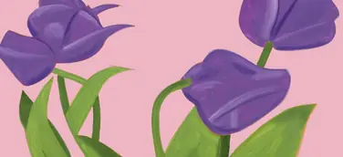 Alex Katz Flowers Portfolio Purple Tulips