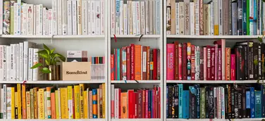 Bücherregal