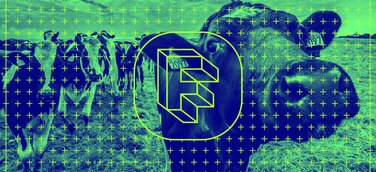 Fleischkonsum in Land- und Stadtregionen