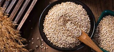 Startup für Bio Hybridfleischprodukt: Erstmals Geflügel Quinoa Meatballs für deutschen Markt entwickelt