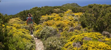 Wandern am Kap von Sant'Andrea, Insel Elba