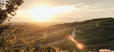 Scenic Circus zu Gast bei Marktplatz LandKultur: Kirchzarten, Efringen-Kirchen, Bräunlingen