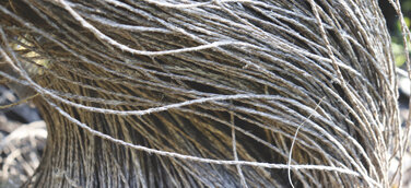 Ausstellung: Susanne Allgaier - ZUFALL | KONKRET Wellenlinien