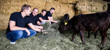 Die Marblelution Gründer: Sebastian Röttcher, Robert Becker, Stefan Rottensteiner, Tobias Becker (v.l.n.r)