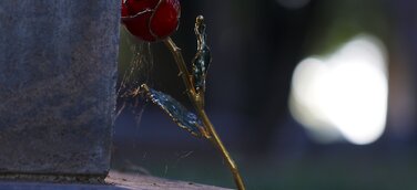 Grabstein mit einer Rose