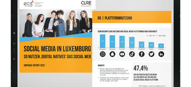 Social Media in Luxemburg - So nutzen ,Digital Natives' das Social Web