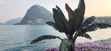 Lugano