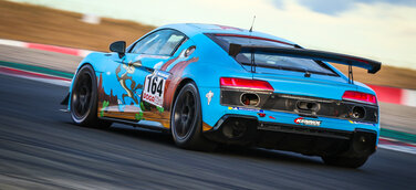 Audi R8 LMS GT4 #164 (Pierre Arraou), Pierre Arraou