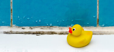 Badlüfter: Kleines Teil für volle Abluft-Power zur Schimmelprävention