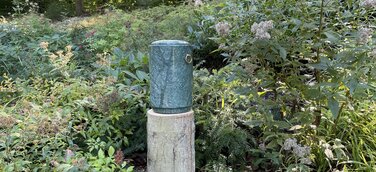 Urne auf einem Baumstamm in der Waldlichtung in Braubach