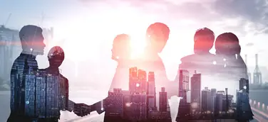 business sales partnership