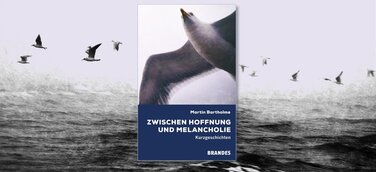 Buchcover "Zwischen Hoffnung und Melancholie" von Martin Bartholme mit fliegenden Möwen im Hintergrund