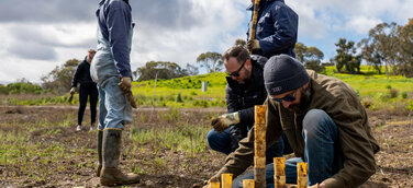 Audi Stiftung für Umwelt unterstützt Küstensanierung in den USA