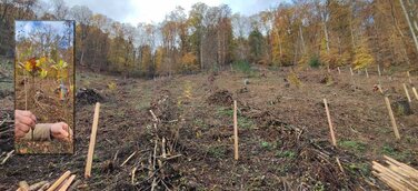 Wiederaufforstung im Feisternachttal