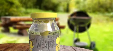 Waspy auf Gartentisch beim Grillen