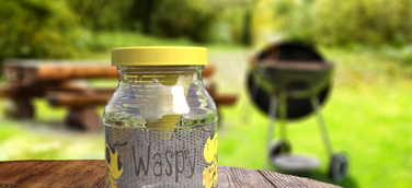 Waspy auf Gartentisch beim Grillen