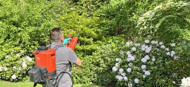 Dank des Akku-Sprühgebläses spart der Gärtnermeister spart deutlich an Kosten und Zeit.
