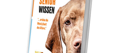 Buchcover by SalzHund Medienverlag