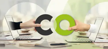CO-BRANDS 2024