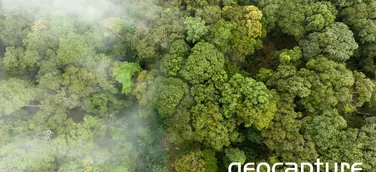 Mit CO2control von geoCapture haben Sie Ihre Emissionen im Blick.