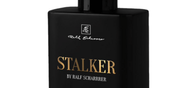 schwarzer Falcon "Stalker"