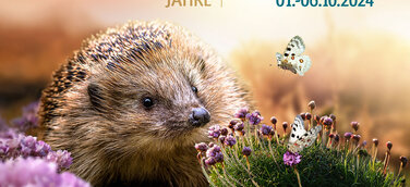 Start des Ticketverkaufs für das 20. Darßer NaturfilmFestival 2024