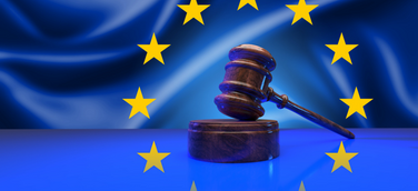 Regelungen für öffentliche Vergaben bei einem EU-Binnenmarkt-Notfall