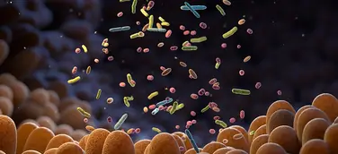 mbiomics: Wie das Verstehen des Mikrobioms des Darms künftig in zielgenaue Therapien umgesetzt werden kann