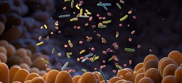 mbiomics: Wie das Verstehen des Mikrobioms des Darms künftig in zielgenaue Therapien umgesetzt werden kann