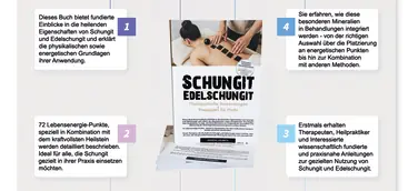 Fachbuch SCHUNGIT – EDELSCHUNGIT: Therapeutische Anwendungen und Praxistipps für Profis 