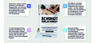 Fachbuch SCHUNGIT – EDELSCHUNGIT: Therapeutische Anwendungen und Praxistipps für Profis 