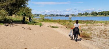 Eine Frau reinigt am Rhein den Müll