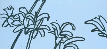 Alex Katz White Lilies